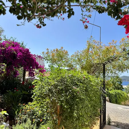 Kale Aparts Apartmán Kaş